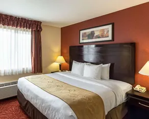 Comfort Suites Airport - Zimmer