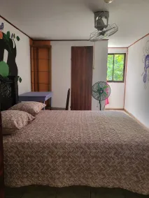 downtown montezuma hostal  - Chambre