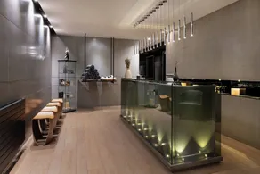 Hotel AC Baqueira Ski Resort, Autograph Collection - Réception