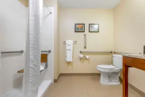 Comfort Inn & Suites Lenoir Hwy 321 Northern Foothills - Bad
