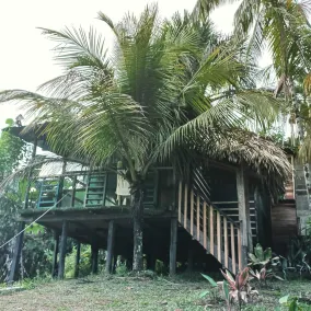 Reserva Natural Natura Park - Room