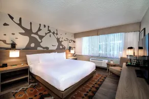 Holiday Inn Estes Park by IHG - Chambre
