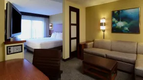 Hyatt Place Dallas Las Colinas - Room