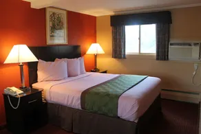 Rodeway Inn Orleans - Cape Cod - Rom