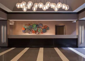Embassy Suites by Hilton Houston Near the Galleria - Réception