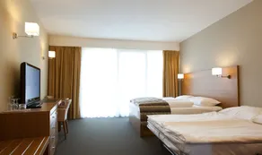 Bohinj Eco Hotel - Værelse
