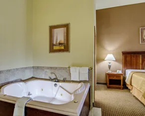 Quality Inn Salem - I-81 - Chambre