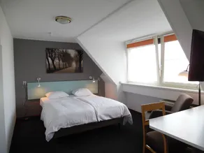 Hotel Hoogeerd by Flow Niftrik - Nijmegen - Room