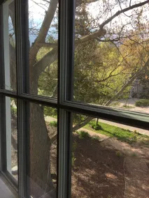 Judson Heath Colonial Inn - View from room