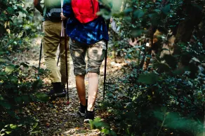 Carawirry Forest Escape - Sala de fitness