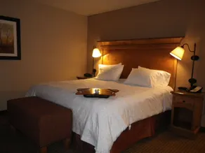 Hampton Inn & Suites Buffalo - Værelse