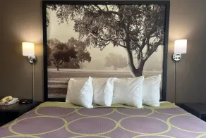 Super 8 by Wyndham Grayville - Værelse