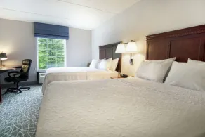 Hampton Inn & Suites Berkshires-Lenox - Chambre