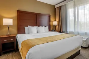 Comfort Suites Tamarac Sawgrass - Chambre