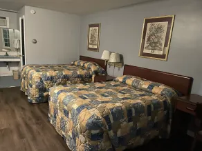 Budget Host Three Crowns Motor Lodge - Chambre