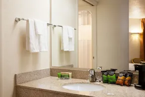 Mountain Home Inn - Baño