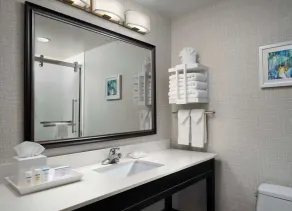 Hampton Inn Clinton Clinton - Salle de bain