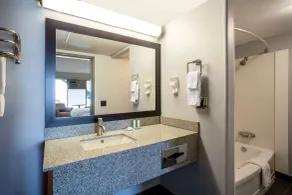 Thriftlodge by Wyndham Regina North - Salle de bain