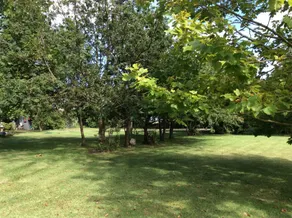 Butterfly Farm Bed and Breakfast Nirranda - Vue de la chambre