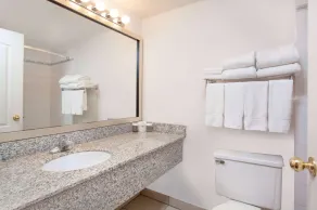 Ramada by Wyndham Red Deer Hotel & Suites - Salle de bain