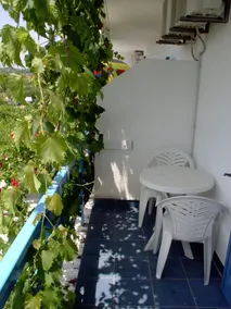Pansion Ivan - Balcony