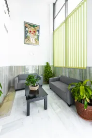 Hotel Toboso Almuñécar - Réception