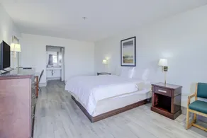 OYO Malden Airport Inn - Rum