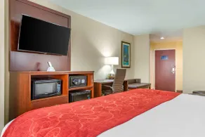 Comfort Suites Savannah Gateway I-95 - Quarto