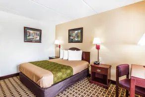 Econo Lodge Savannah Midtown - Room