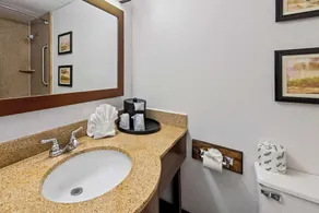 Comfort Inn & Suites Omaha Central - Salle de bain