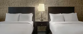 DoubleTree by Hilton Hotel Chicago Wood Dale - Elk Grove - Chambre