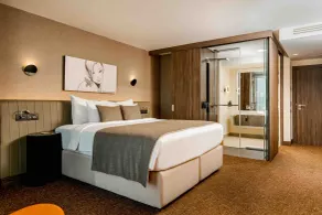 Kronwell Brasov Hotel - Room