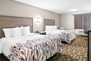 Red Roof Inn & Suites Lexington - Hamburg - Værelse