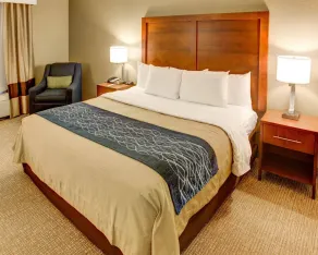 Comfort Inn Conference Center Pittsburgh Penn Hills - Room