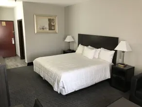 Lea County Inn - Chambre