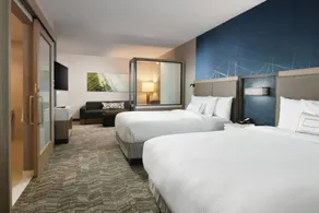 SpringHill Suites Dallas DFW Airport South/CentrePort - Chambre