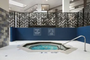 Four Points by Sheraton Detroit Novi - Pool