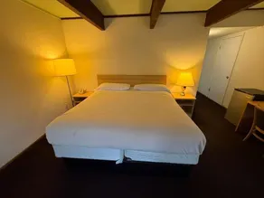 Royal plams  - Chambre