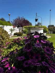 Casa dei Tigli - Jardines del alojamiento