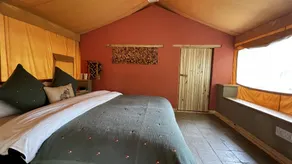 Organic Village Retreat - Room