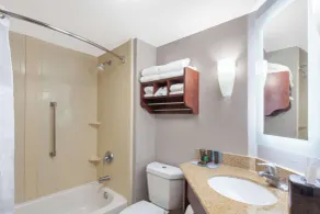 Wingate by Wyndham Charleston Coliseum - Salle de bain