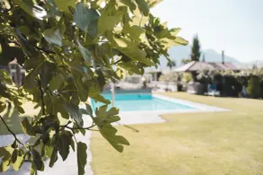 Hotel Tiefenbrunn Gardensuites & Breakfast - Piscine