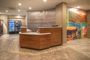 Clarion Pointe Downtown Gatlinburg - Resepsjon