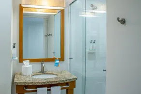 Hampton Inn by Hilton Guadalajara/Expo - Salle de bain