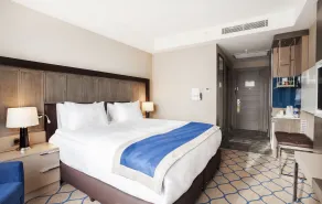 Holiday Inn Kayseri - Duvenonu by IHG - Chambre