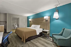 Quality Inn & Suites Vidalia - Room