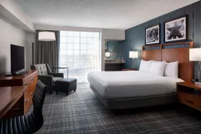 Embassy Suites by Hilton Austin Central - Chambre