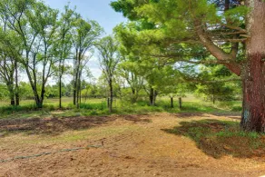 Swim, Fish & Explore: Quiet Bear Lake Gem! - Interior