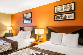 Sleep Inn & Suites Athens South - Chambre