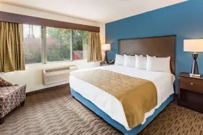 AmericInn by Wyndham Hotel and Suites Long Lake - Chambre